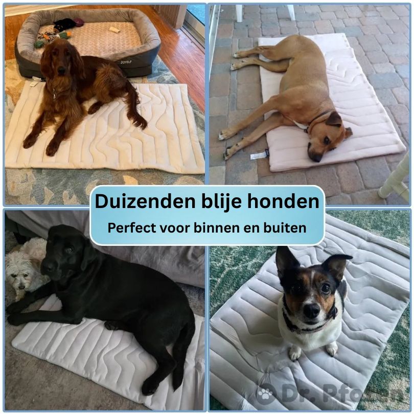 PawChill™ - De innovatieve koelmat voor honden - Nu met 50% Korting! Beperkte voorraad